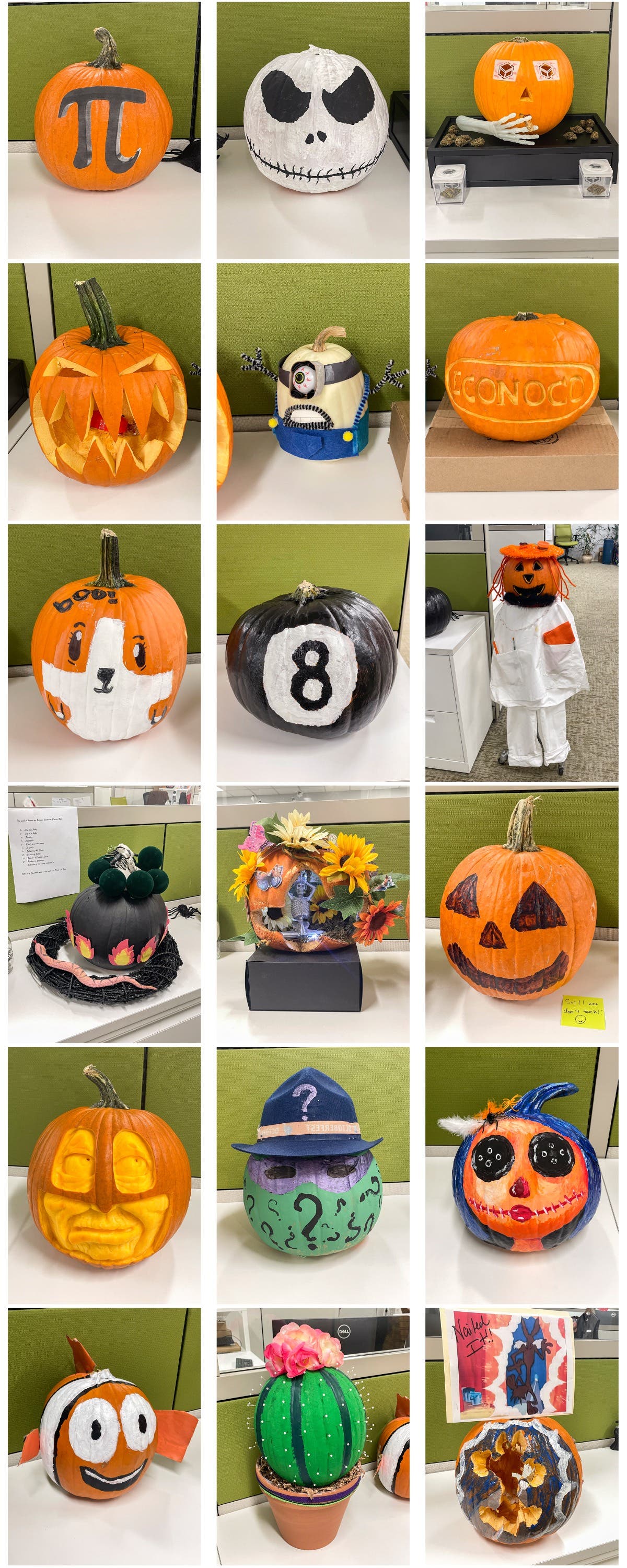Pumpkin Decorating from Econoco